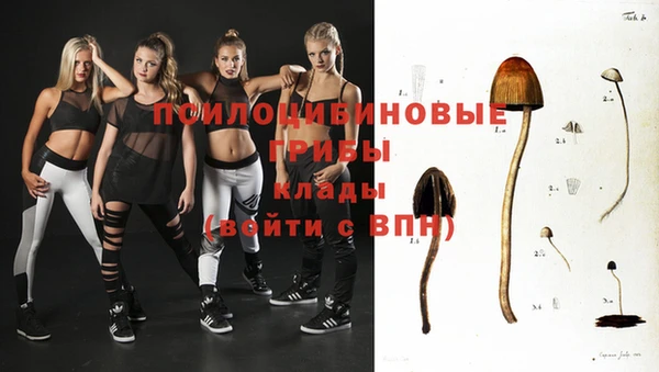 дживик Новозыбков