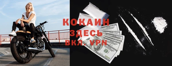 дживик Новозыбков