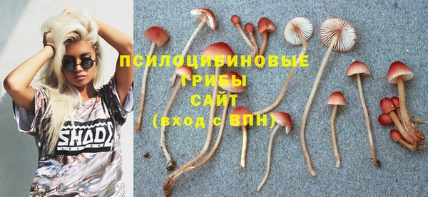 мет Новодвинск