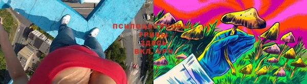 дживик Новозыбков