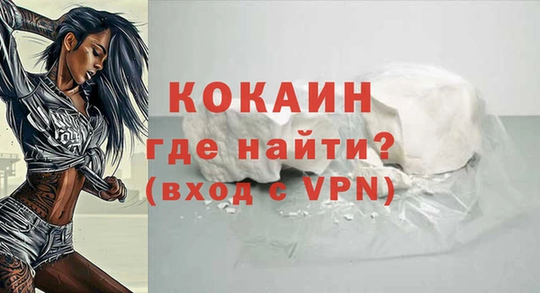 дживик Новозыбков